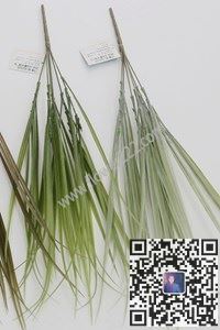 圖片HS2337P  6頭噴中國蘭