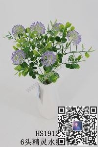 圖片泡沫本沫合集—水草泡沫