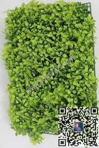圖片合集—草皮本皮