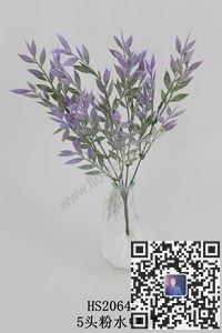 圖片把束水草植粉合集