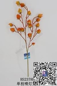 圖片單枝水草噴色合集