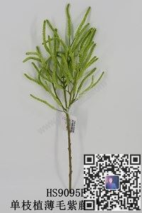 圖片單枝水草植毛合集